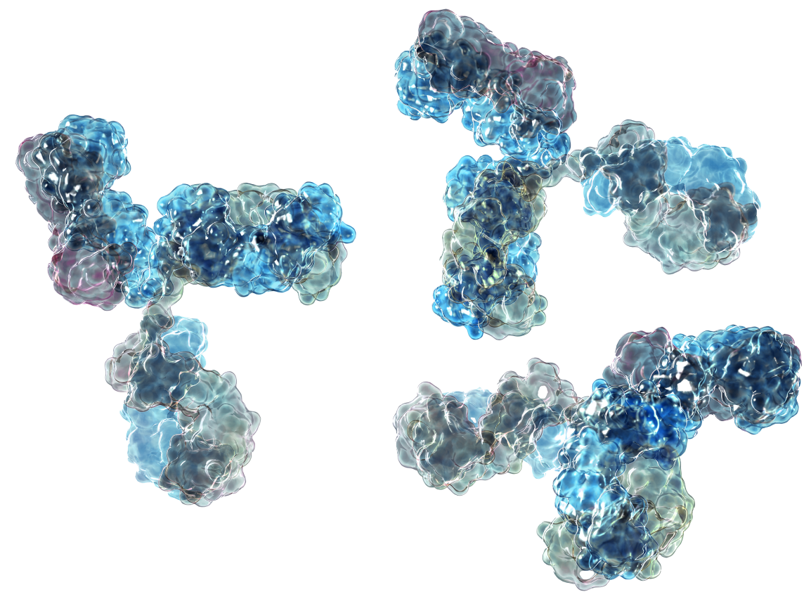 3D rendered monoclonal antibodies in varied shades of teal and blue.