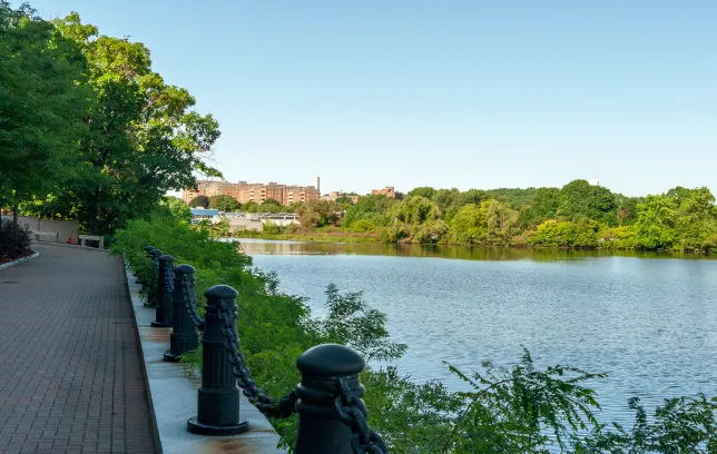 Photo of riverfront along a path [Waltham, MA].