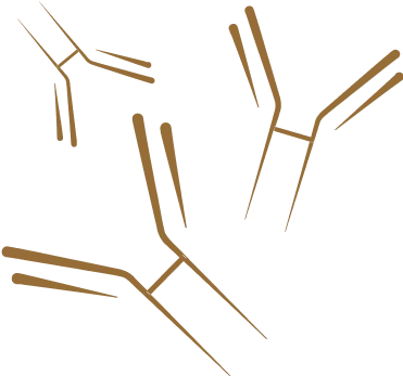 icon PK curve