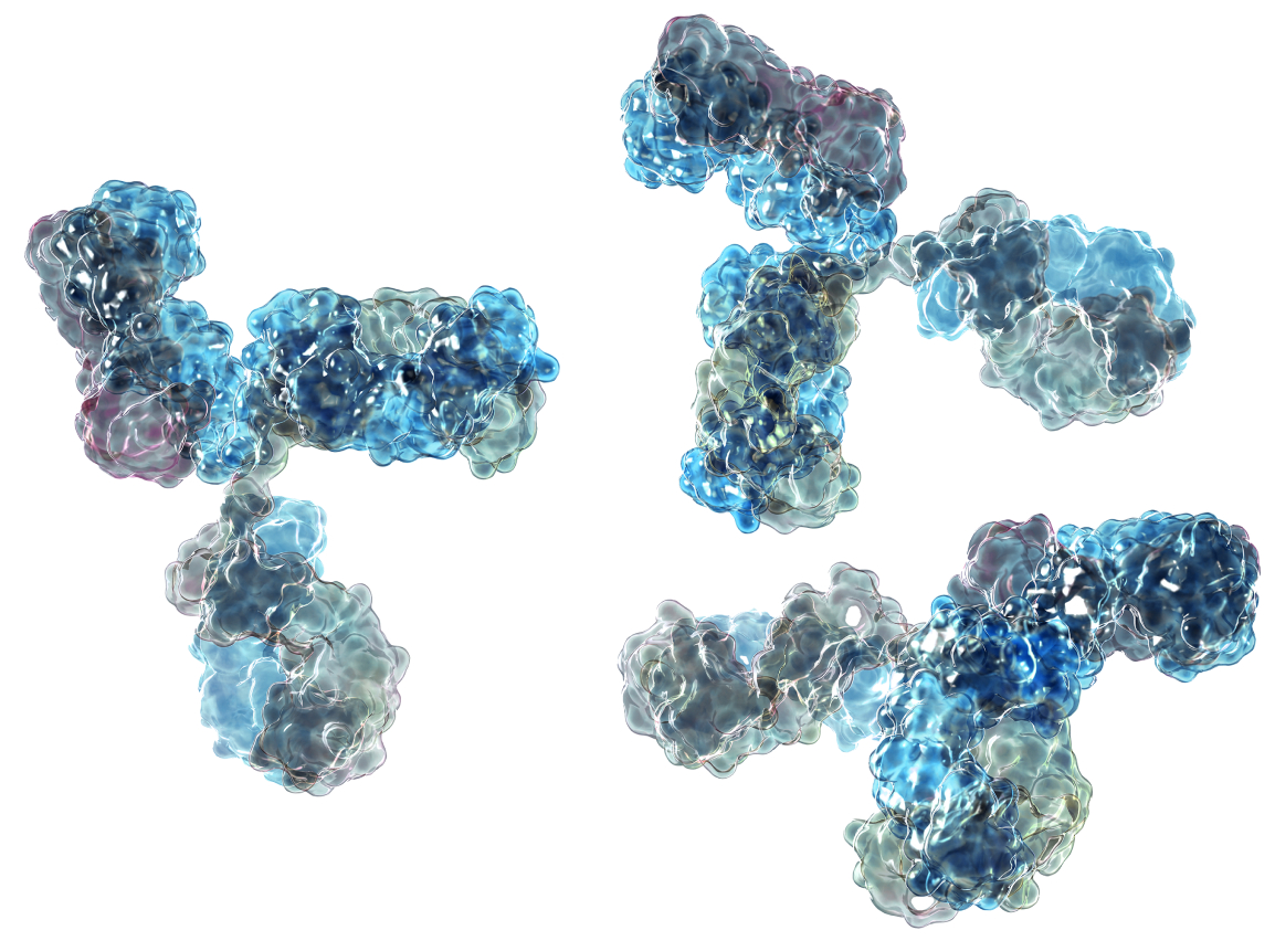 3D rendered monoclonal antibodies in varied shades of teal and blue.